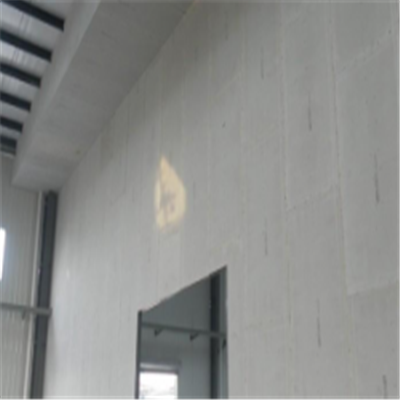 安义宁波ALC板|EPS加气板隔墙与混凝土整浇联接的实验研讨